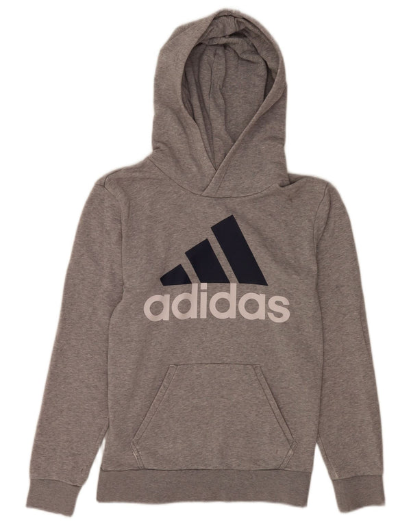 Adidas Herren Graphic Hoodie Pullover XS Grau