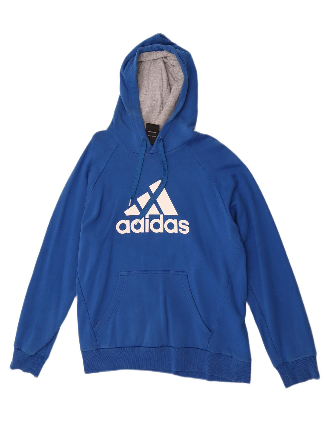 Adidas Mens Graphic Hoodie Jumper Medium Blue Cotton