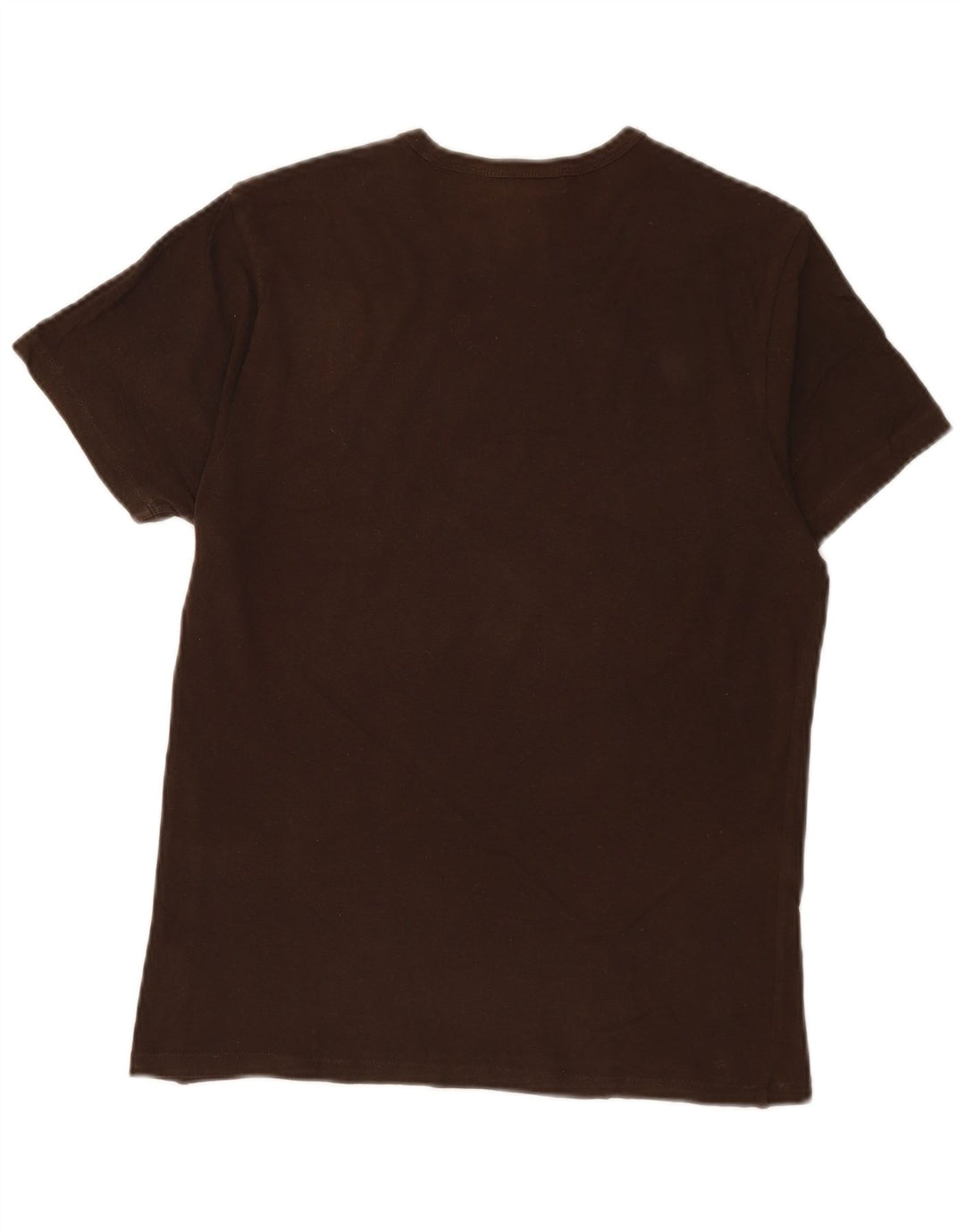 CALVIN KLEIN Mens Graphic T-Shirt Top Medium Brown Cotton