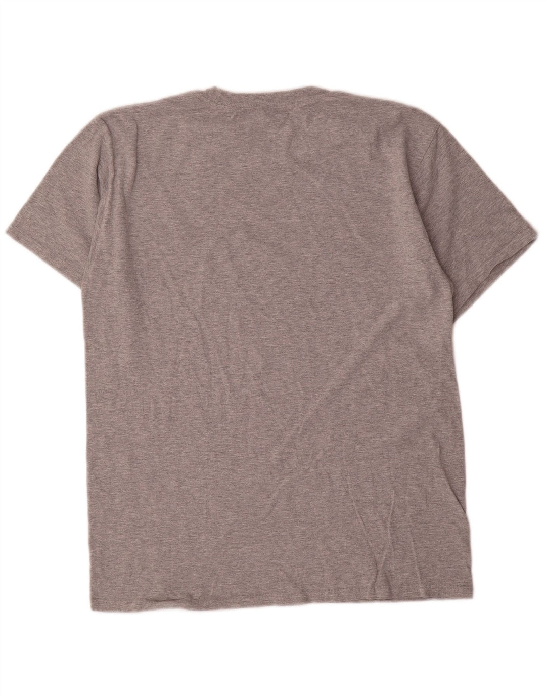 Champion Mens Graphic T-Shirt Top Medium Grey Cotton