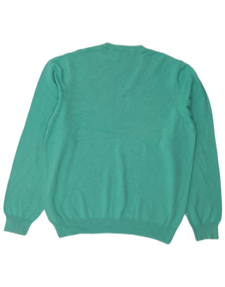 Vintage Mens Regular Fit V-Neck Jumper Sweater Large Green