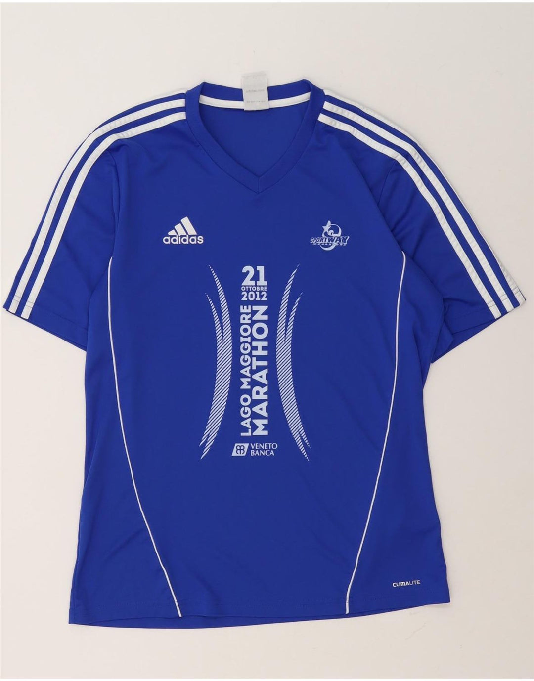 Adidas Mens Climalite Graphic T-Shirt Top Medium Blue Polyester