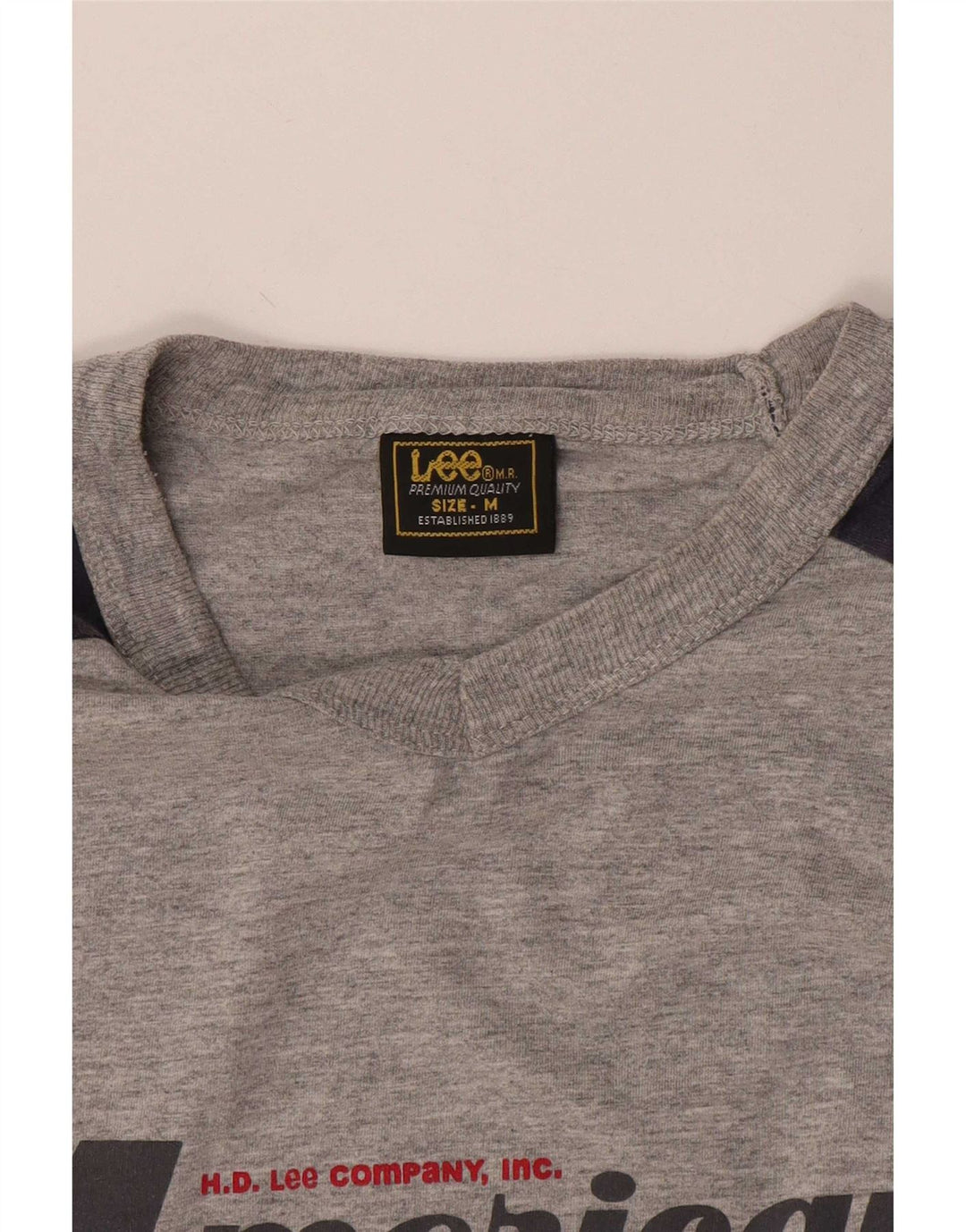 Lee Mens Graphic T-Shirt Top Medium Grey Colourblock