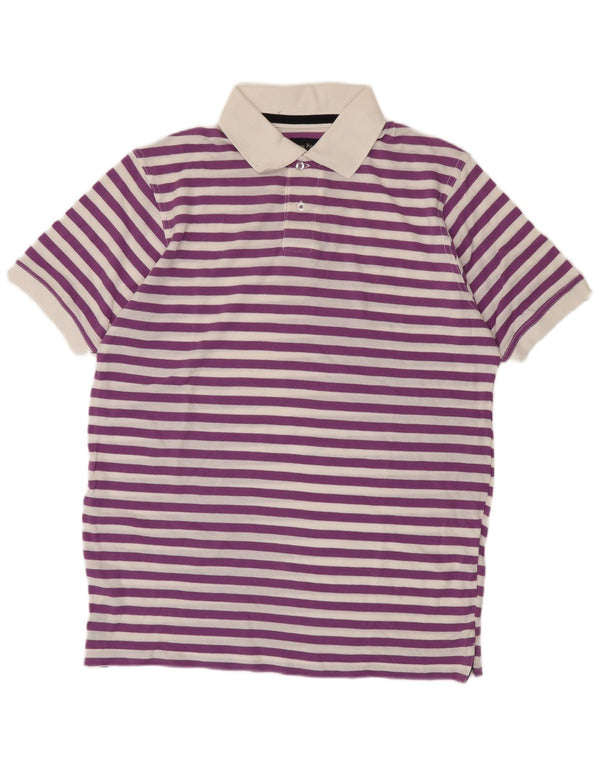 Polo da uomo James Pringle grande in cotone a righe viola