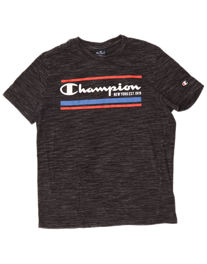 Champion Mens Graphic T-Shirt Top Small Grey Pinstripe