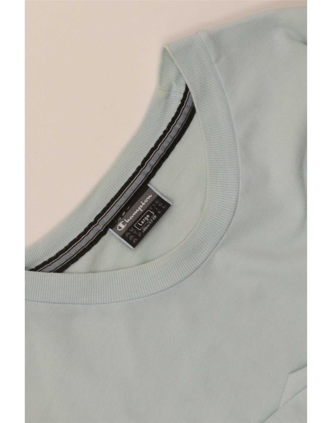 Champion Mens Graphic T-Shirt Top Large Blue