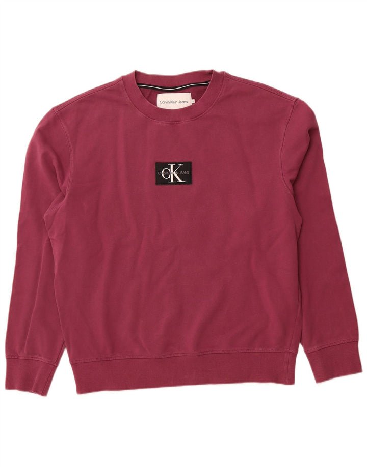 CALVIN KLEIN JEANS Mens Graphic Sweatshirt Jumper Medium Purple