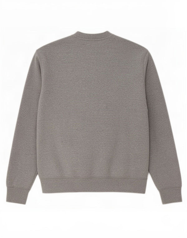 Ανδρικό φούτερ Dickies Jumper Μεσαίο γκρι βαμβακερό