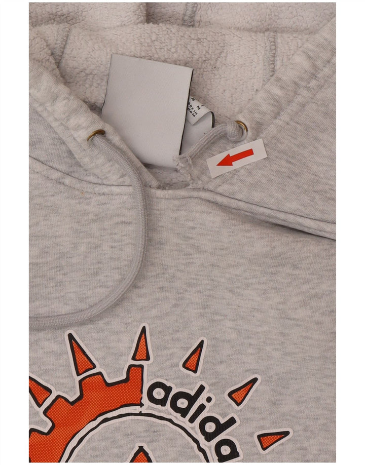Adidas Mens Graphic Hoodie Jumper Medium Grey Cotton