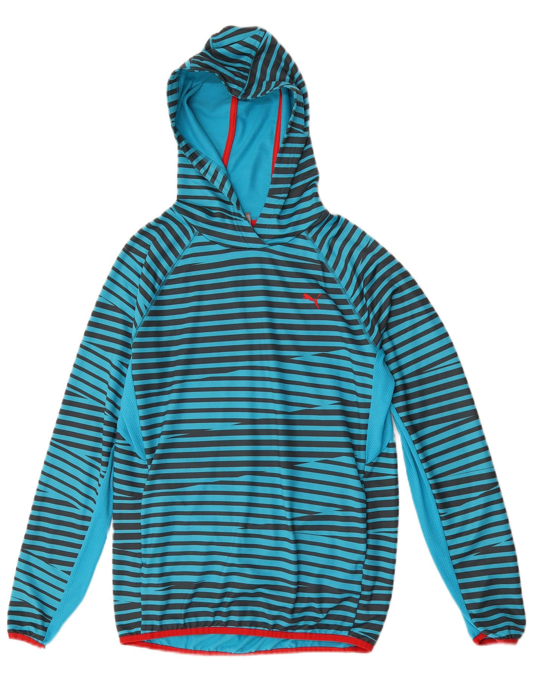 PUMA Boys Hoodie Jumper 13-14 Years Blue Striped Polyester
