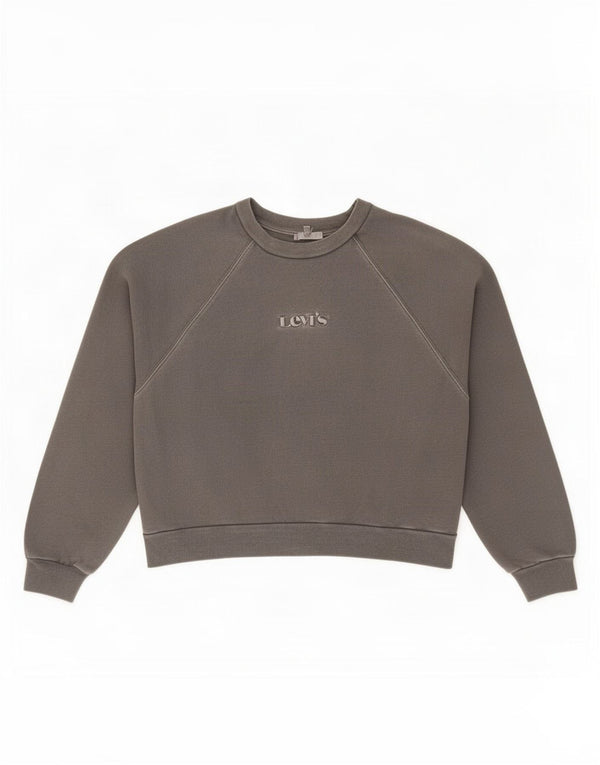 Pulover pentru femei Levi's Crop Graphic Oversized Pulover UK 14 Medium Gri