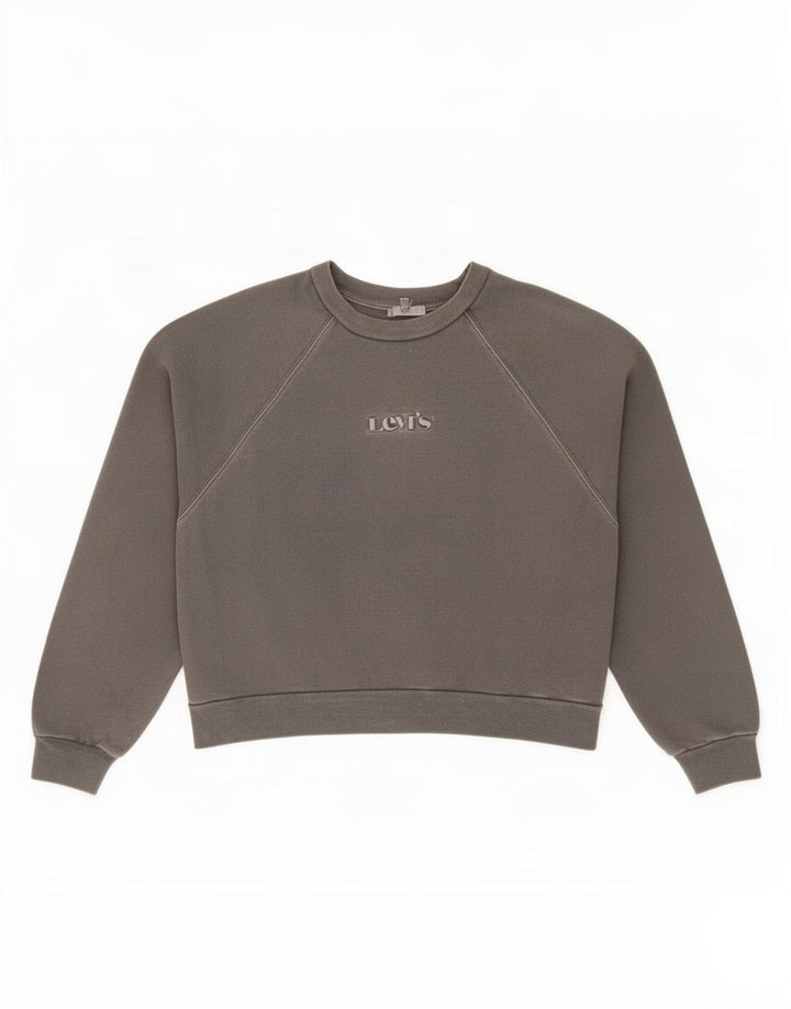 Pulover pentru femei Levi's Crop Graphic Oversized Pulover UK 14 Medium Gri