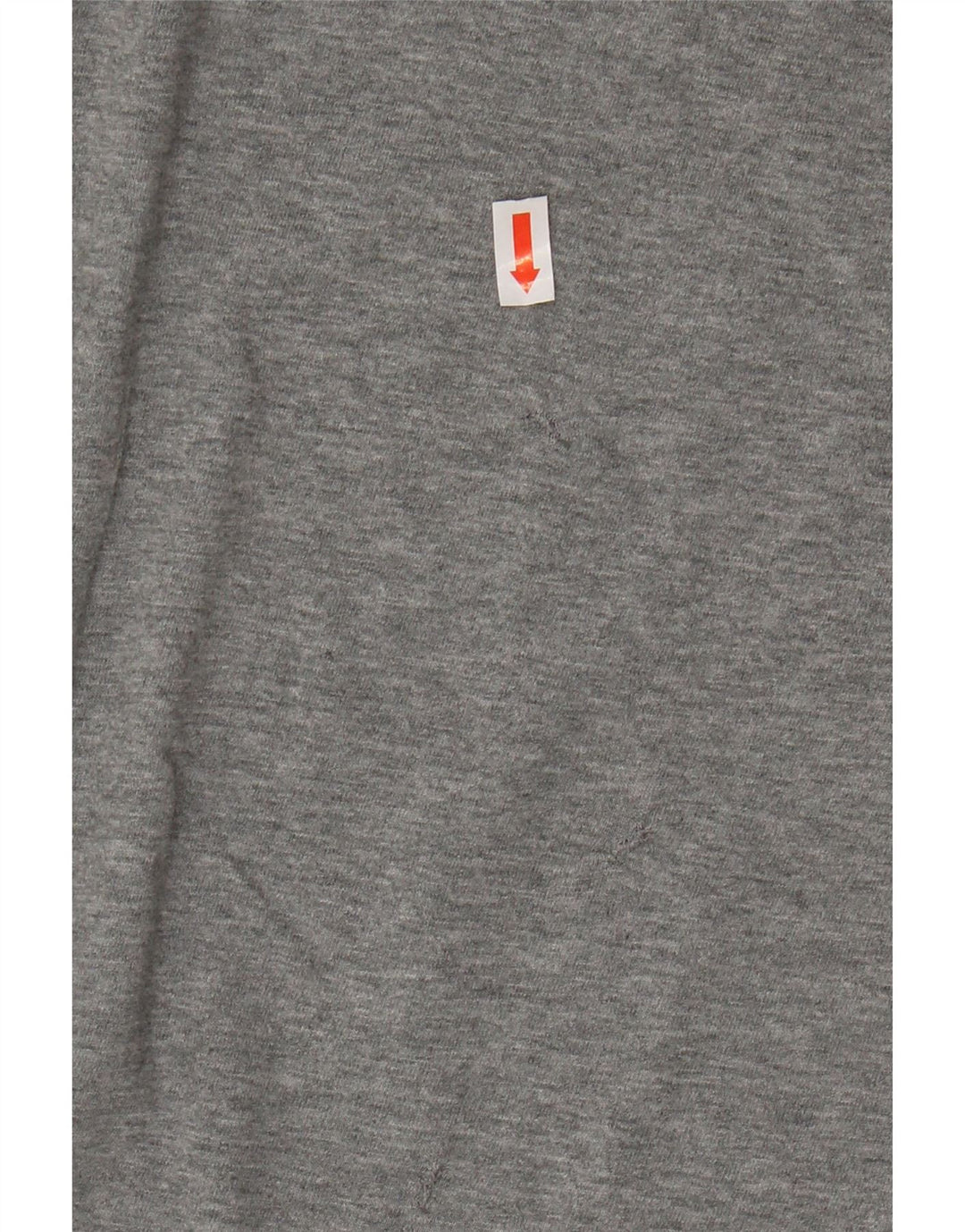 Camiseta PUMA Meninos Graphic 13-14 Anos Cinza Salpicado