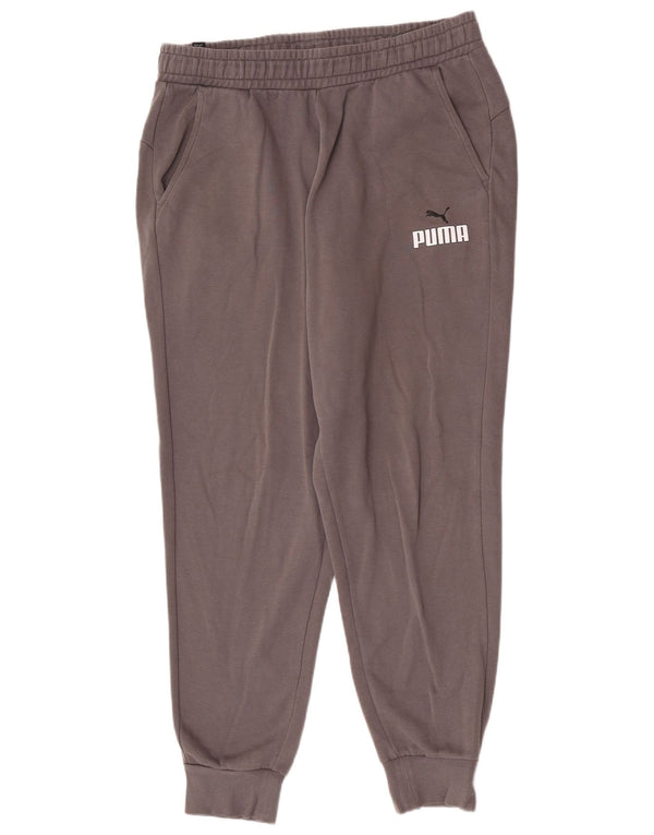 Ανδρική φόρμα φόρμας Puma Graphic Regular Fit Παντελόνι Joggers μεγάλο γκρι βαμβακερό