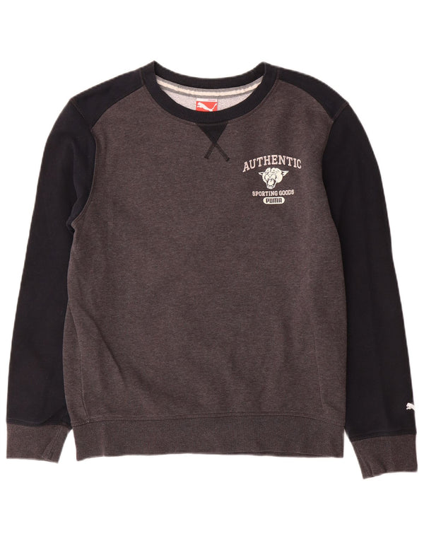 Ανδρικό γραφικό φούτερ Puma Jumper Small Grey Colourblock Βαμβακερό