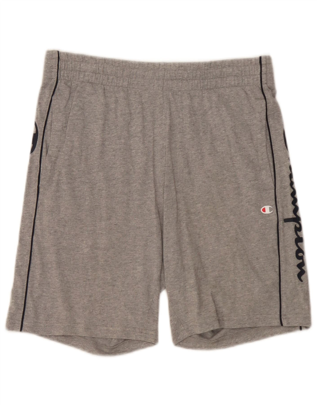 Champion Mens Graphic Sport Shorts Small Grey Cotton