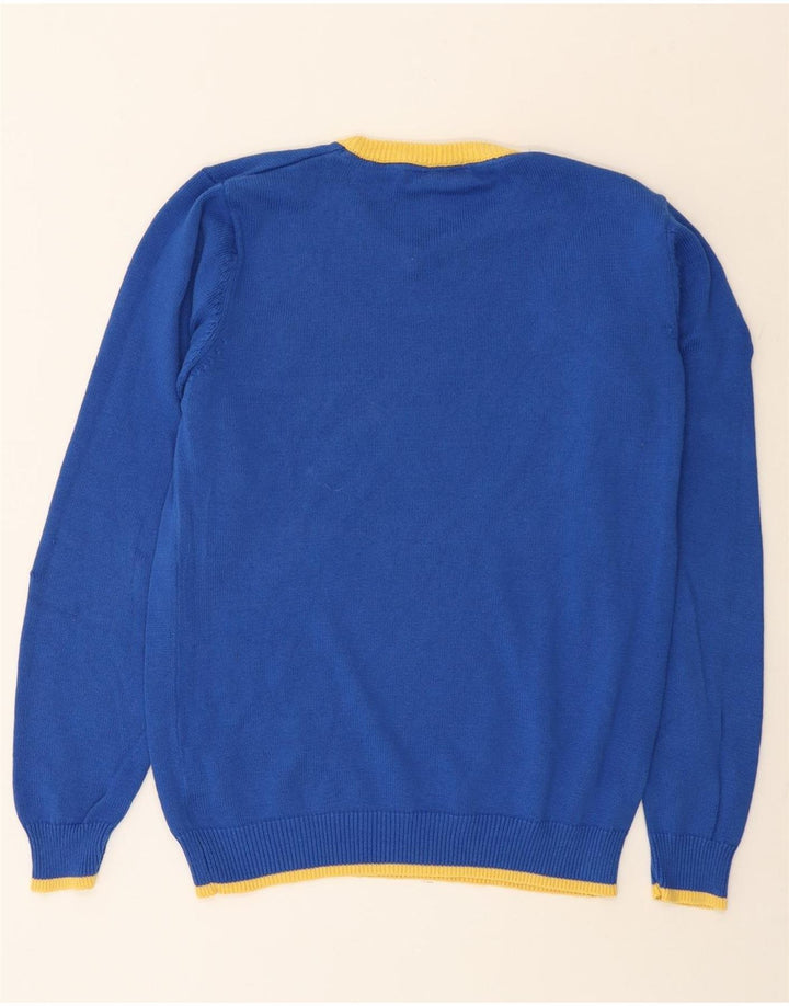 NEBULUS Mens Graphic V-Neck Jumper Sweater Large Blue Cotton