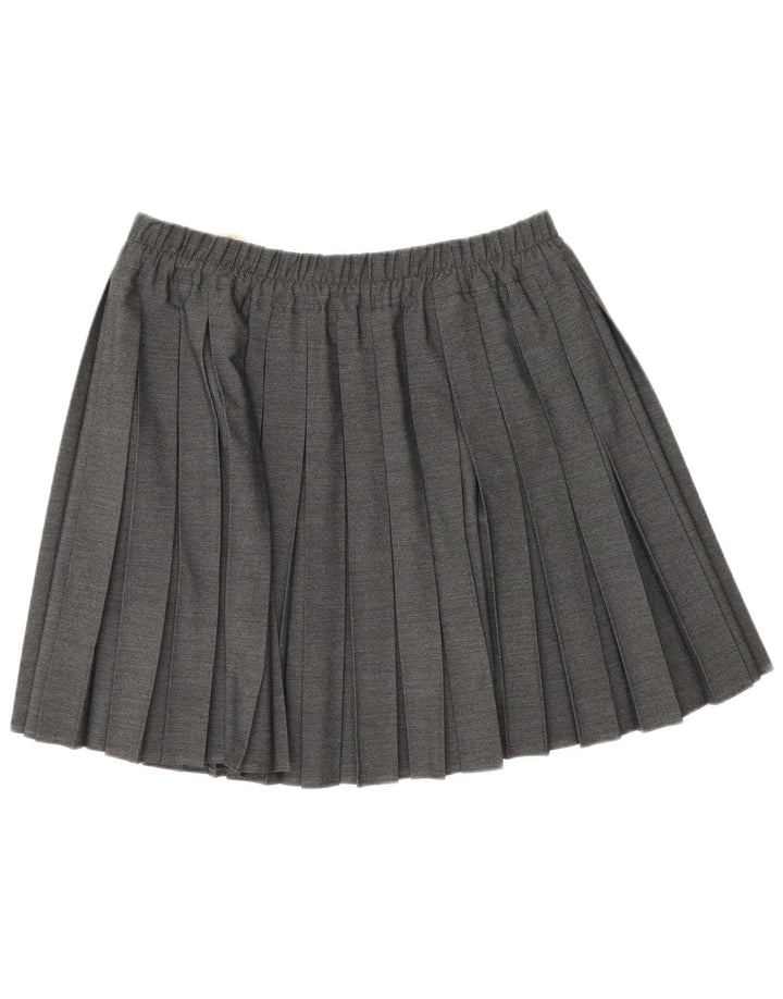 Ecco Kvinde Kniv Plisseret nederdel EU 42 Large W32 Grå Viscose
