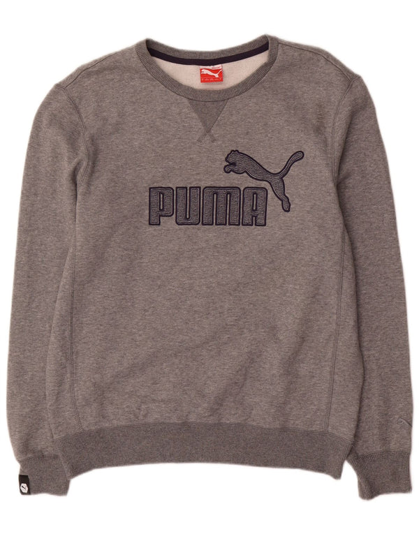 Puma Herre Grafisk Regular Fit Sweatshirt Jumper Medium Grå Bomuld