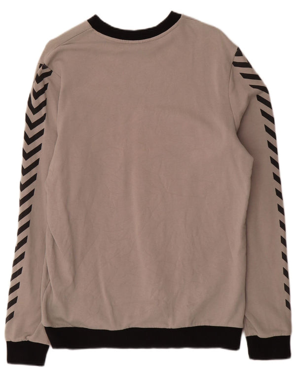 Hummel Herre grafisk sweatshirt Jumper Medium Grå Colourblock Bomuld