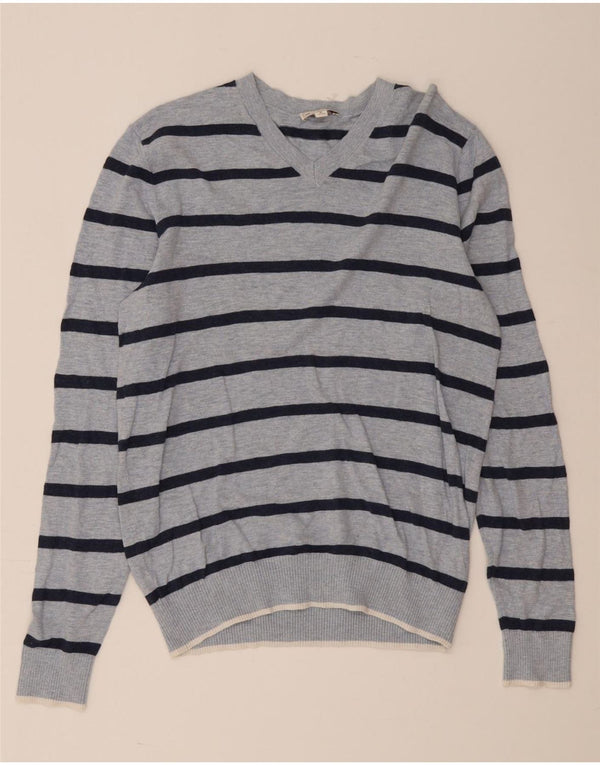 Gap Mens V-Neck Jumper Sweater Medium Blue Striped Cotton