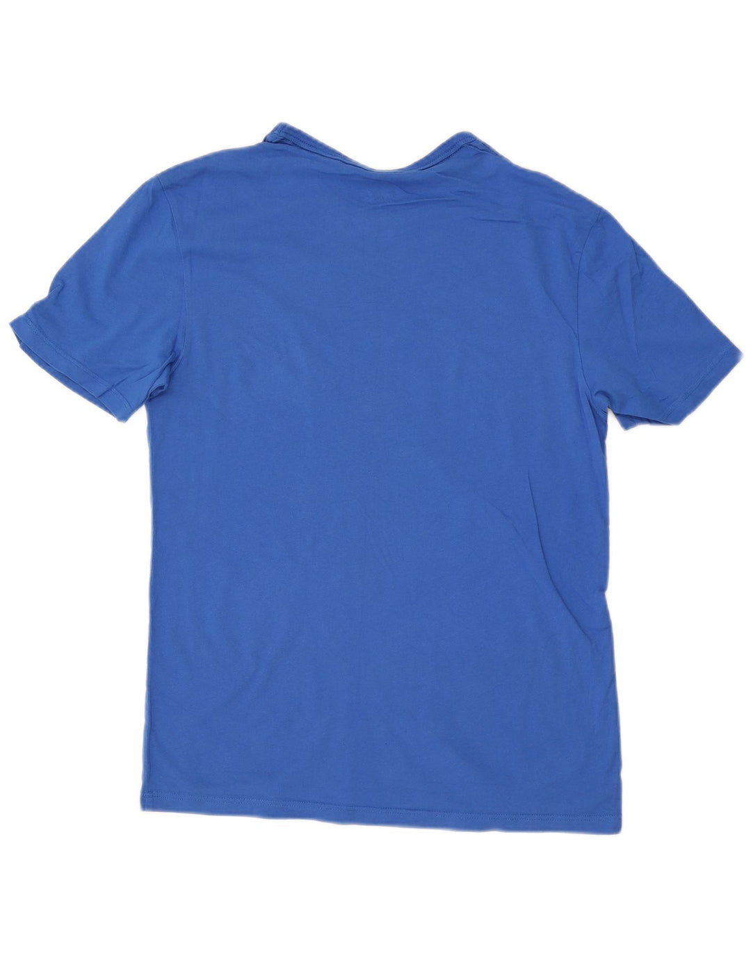 Champion Mens Graphic T-Shirt Top Small Blue Cotton