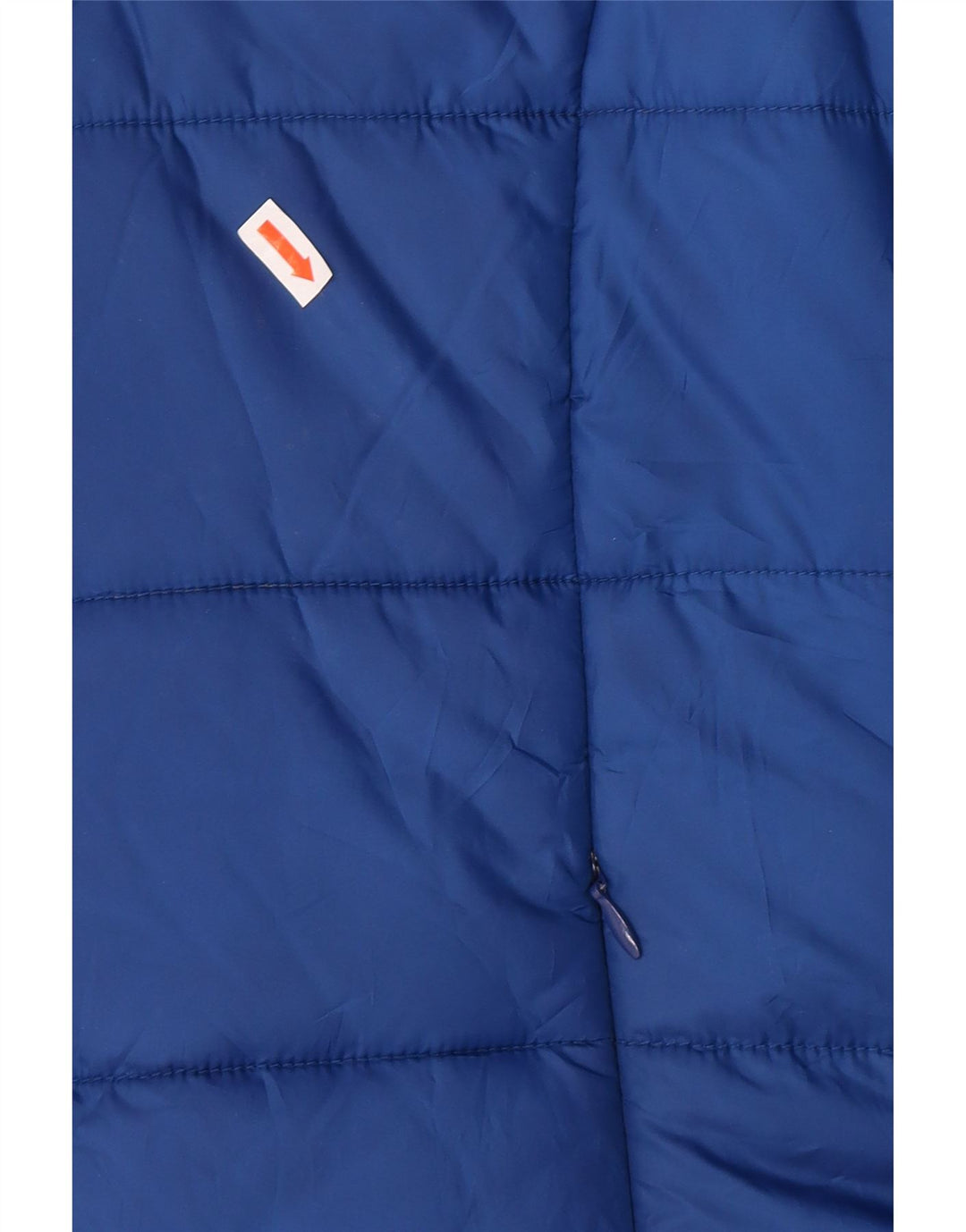 CAVALLI Polstret Damejakke IT 46 Stor Blå Polyester