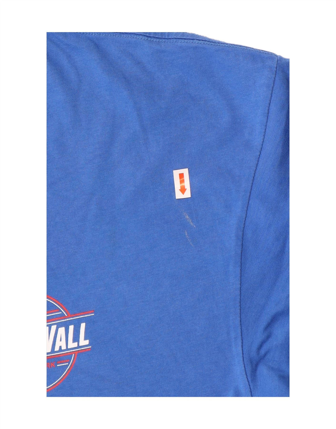 VANS Mens Classic Graphic T-Shirt Top Large Blue Cotton