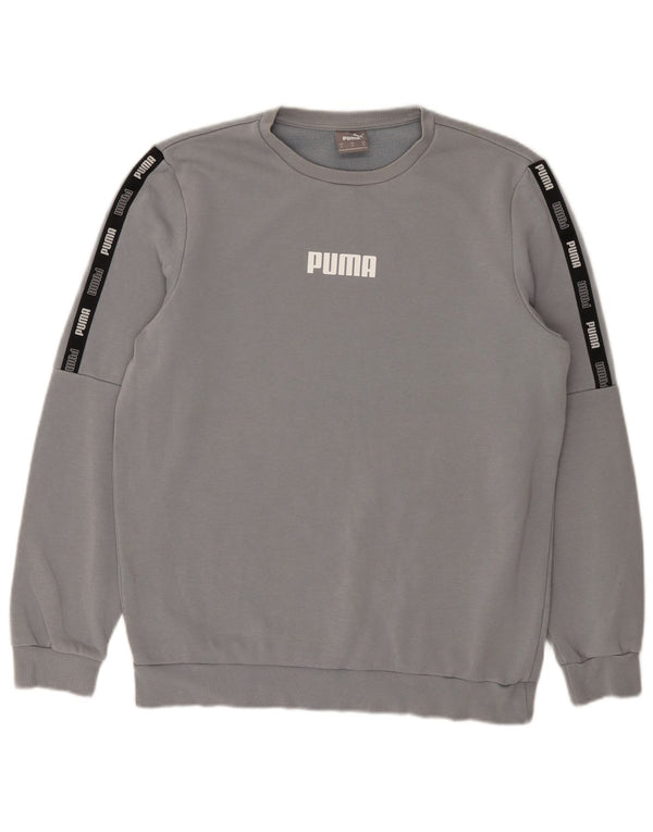 Puma Herre grafisk sweatshirt Jumper Medium Blue Colourblock