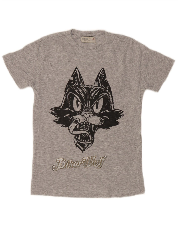 Zara Boys Graphic T-Shirt Top 7-8 Years Grey