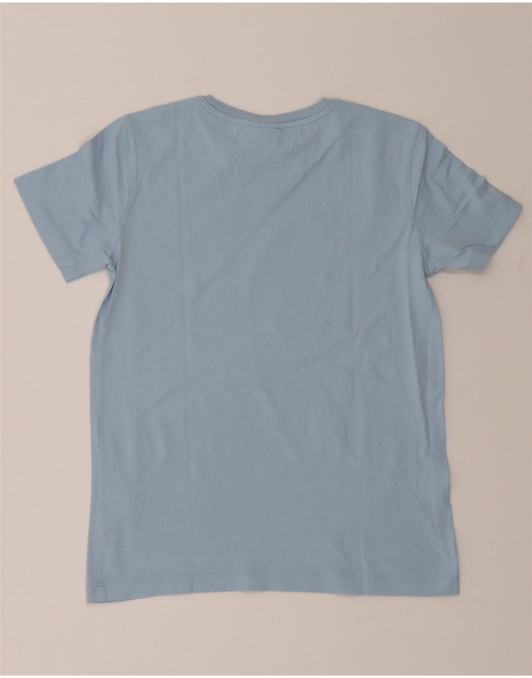 CHAMPION Womens T-Shirt Top UK 12 Medium Blue Cotton Vintage Champion and Second-Hand Champion from Messina Hembry 