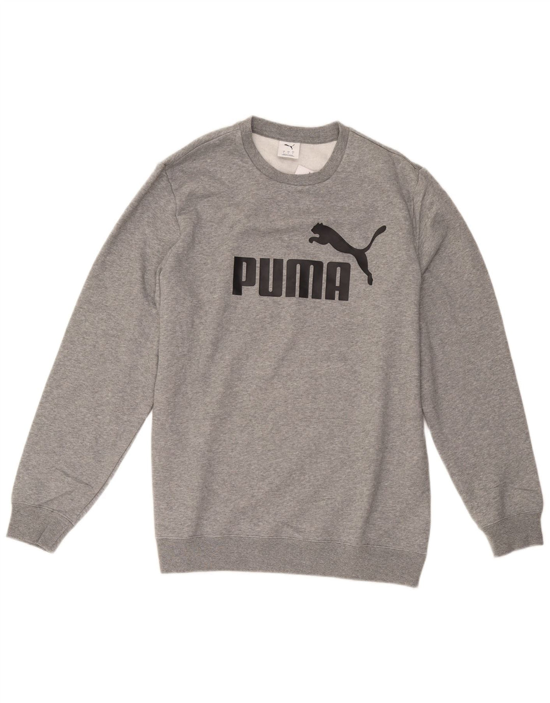 Felpa grafica da uomo Puma Maglione grande in cotone grigio