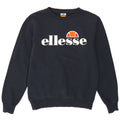 Женский джемпер оверсайз с графическим рисунком Ellesse UK 8, маленький, темно-синий