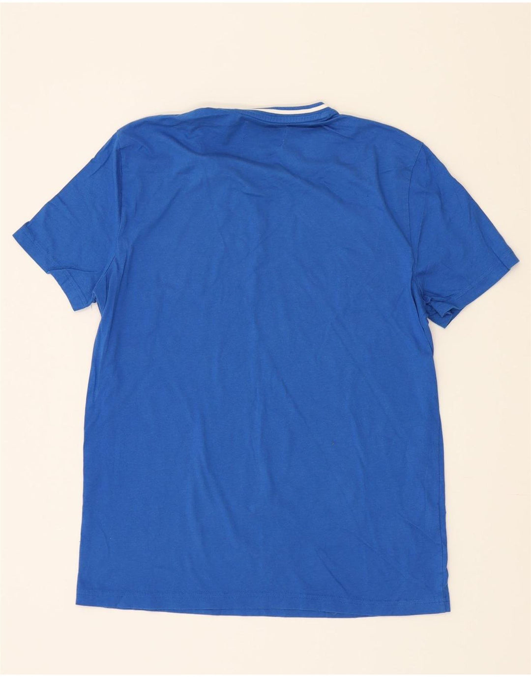 PENGUIN Mens T-Shirt Top Large Blue Cotton Vintage Penguin and Second-Hand Penguin from Messina Hembry 