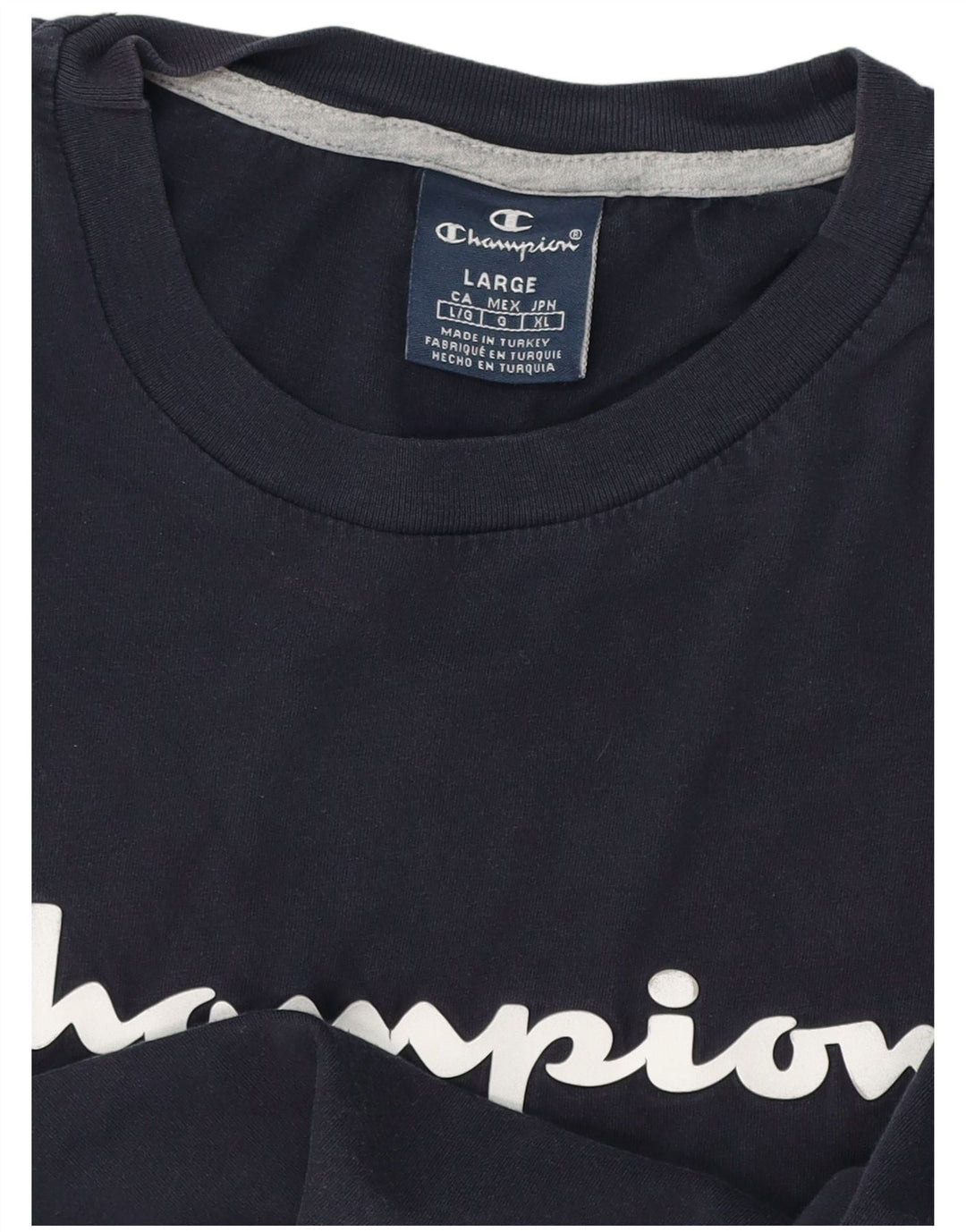 Champion Mens Graphic T-Shirt Top Large Navy Blue