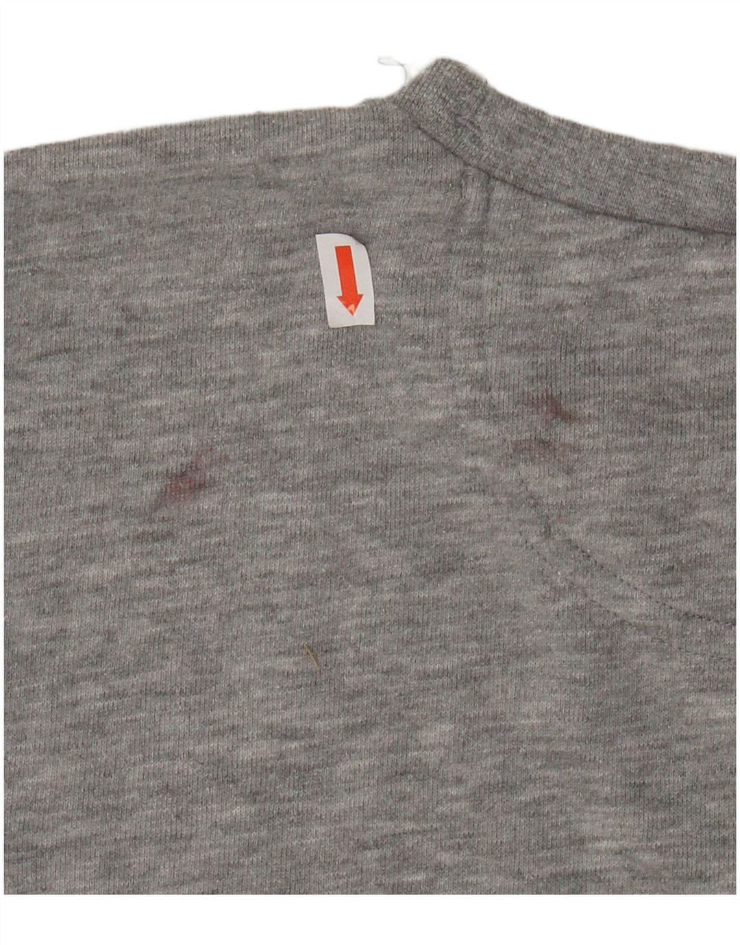 CHAMPION Boys Graphic Sweatshirt Jumper 11-12 Years Large Grey Flecked