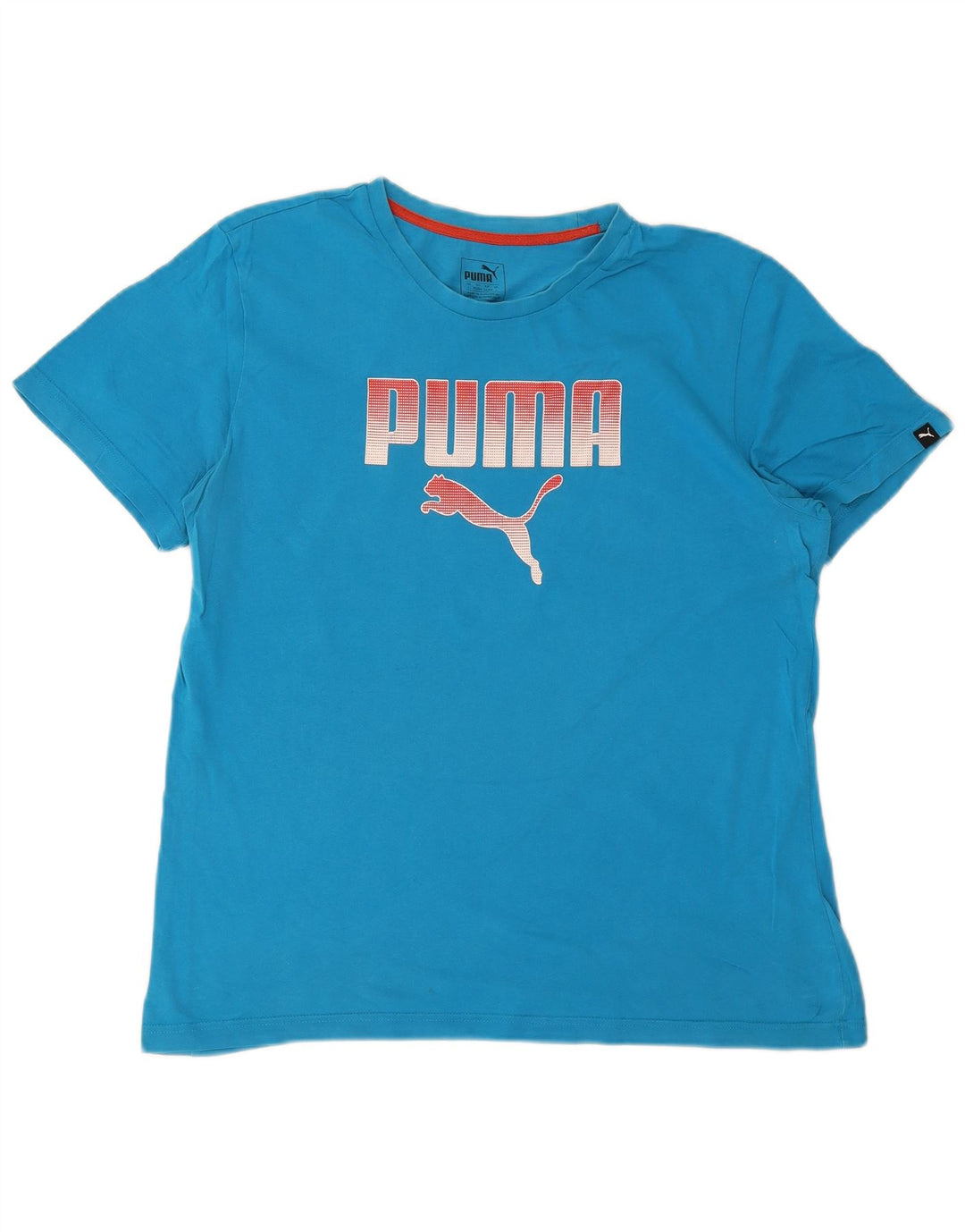 T-shirt grafica da uomo Puma grande blu