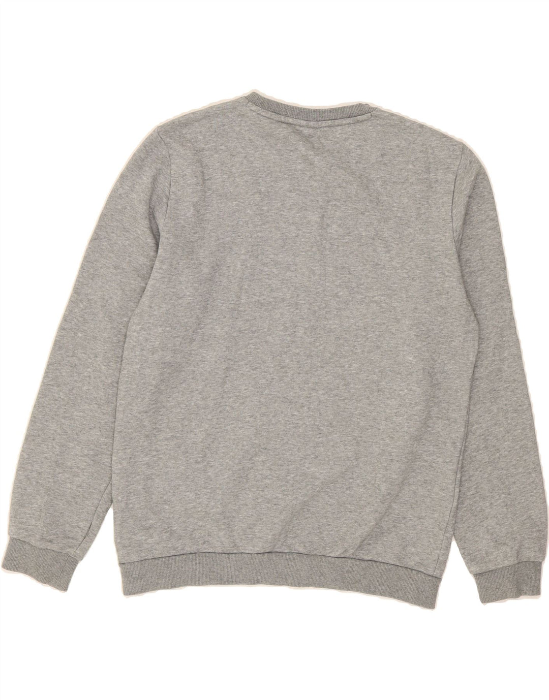 PUMA Boys Graphic Sweatshirt Jumper 15-16 Years  Grey Cotton Vintage Puma and Second-Hand Puma from Messina Hembry 