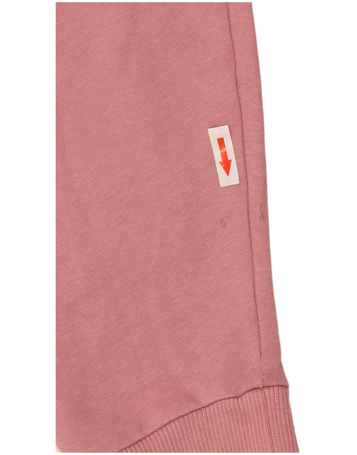 Puma Mens Graphic Hoodie Jumper Medium Pink