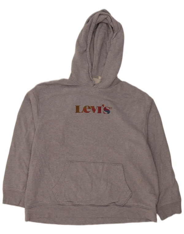 Levi's Herren Relaxed Graphic Hoodie Pullover XL Grau Baumwolle