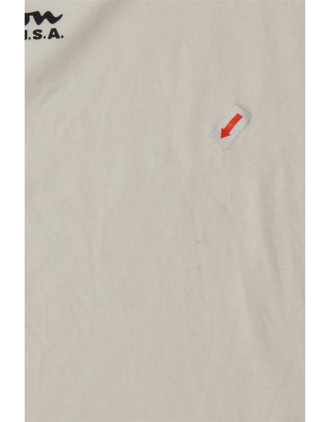CHAMPION Mens Graphic T-Shirt Top Large White Cotton Vintage Champion and Second-Hand Champion from Messina Hembry 