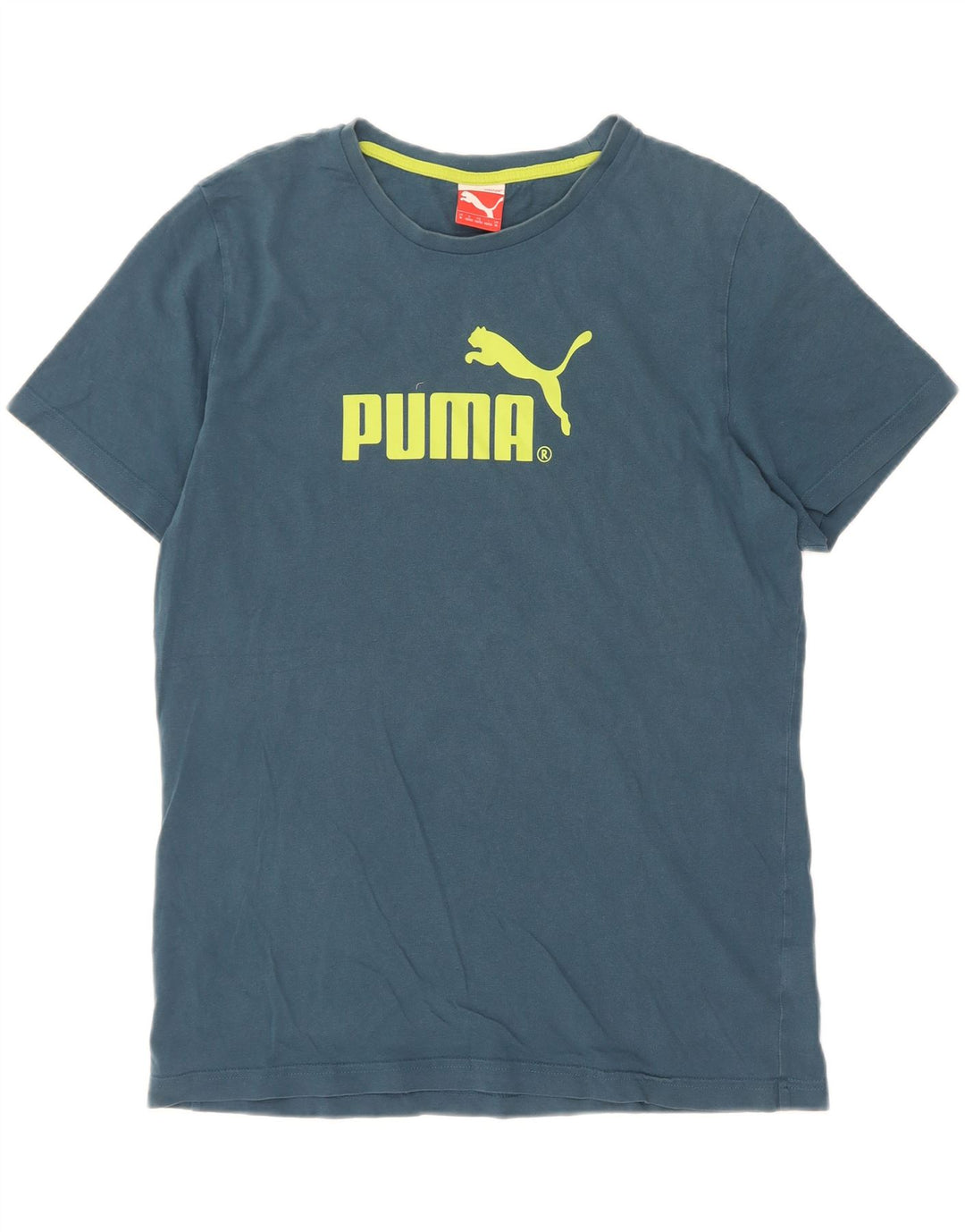 Puma Herre Grafisk T-Shirt Top Medium Blue