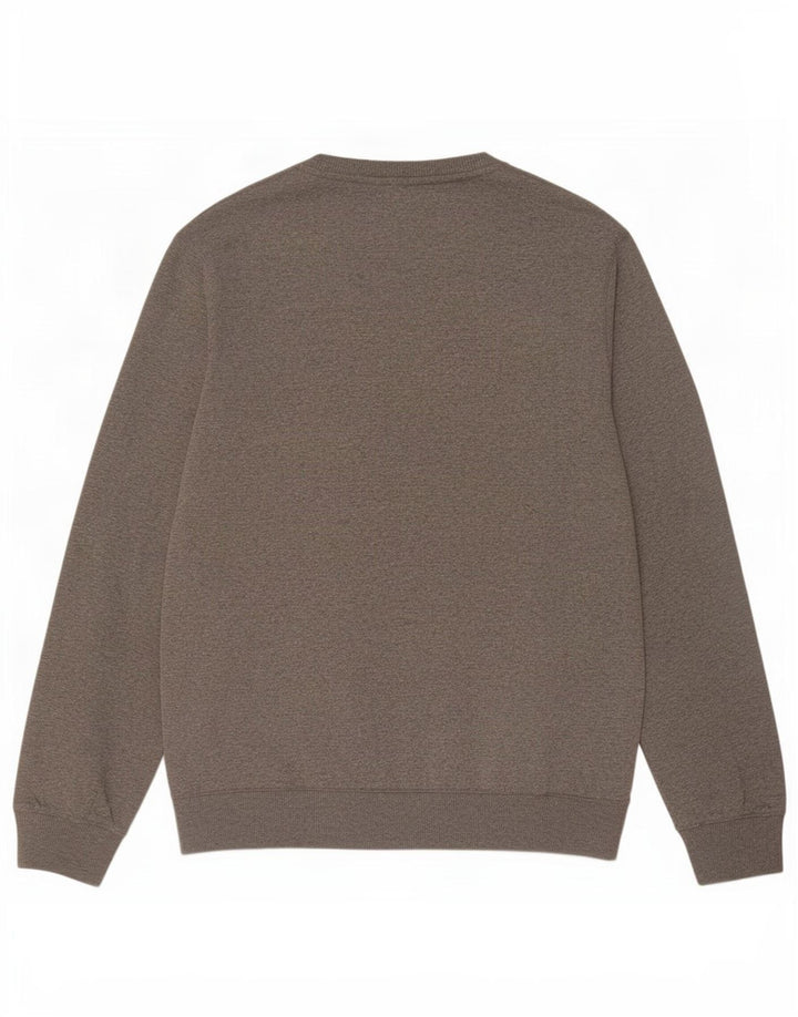 Ανδρικό γραφικό φούτερ Vans Jumper Μεσαίο γκρι βαμβακερό