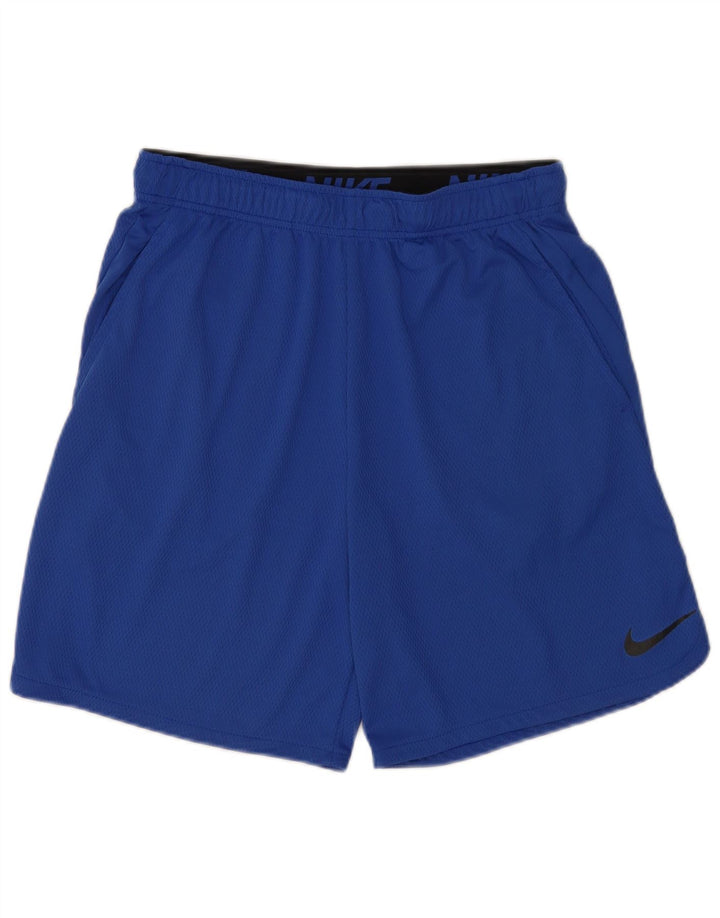 Nike Mens Sport Shorts Large Blue