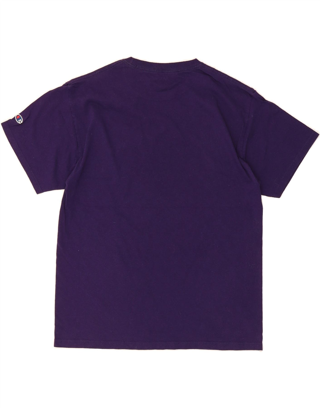 CHAMPION Mens Graphic T-Shirt Top Large Purple Vintage Champion and Second-Hand Champion from Messina Hembry 