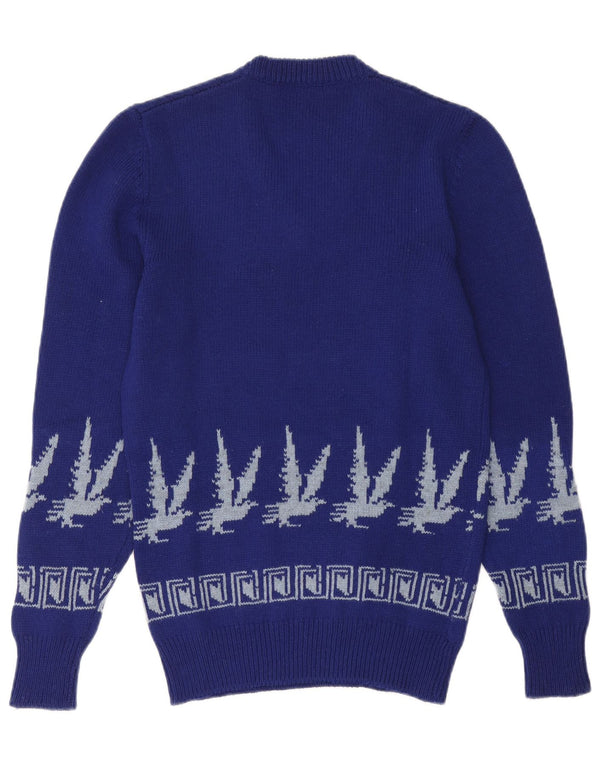 Vintage Mens V-Neck Jumper Sweater Small Blue Fair Isle