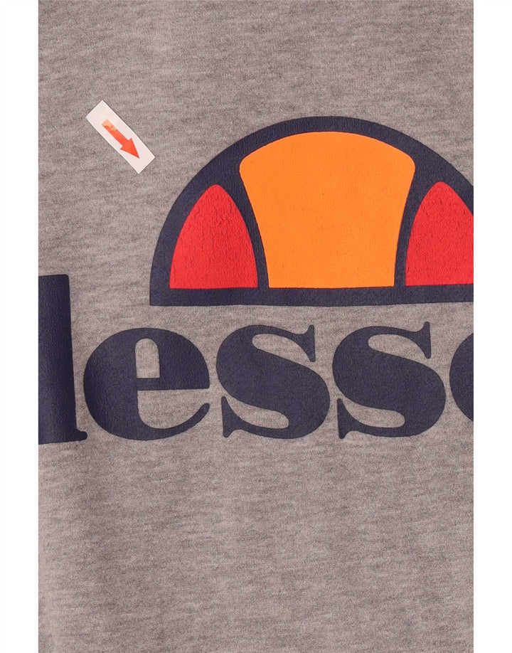 Ellesse Mens Graphic Regular Fit Hoodie Jumper Small Grey Cotton