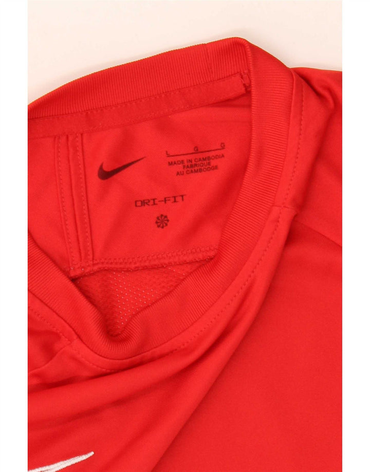 Nike Mens Dri Fit T-Shirt Top Large Red Colourblock