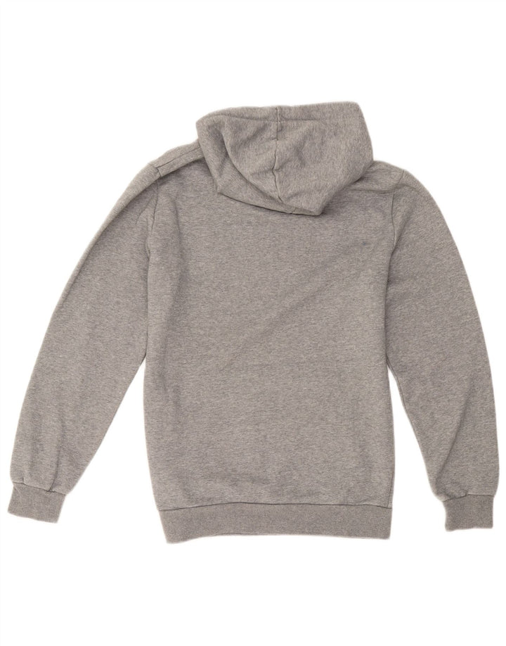 Puma Mens Graphic Hoodie Jumper Small Grey Cotton