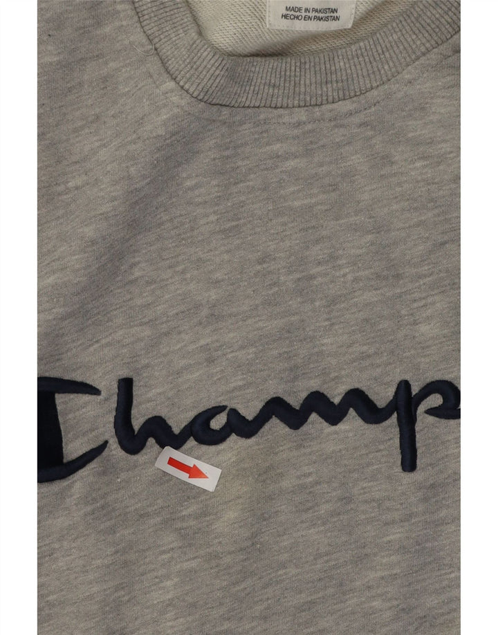 Champion Herre Grafisk Sweatshirt Jumper 2XL Grå Flecked Bomuld